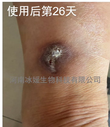 b7883661-3bd1-4c6d-a14d-3eb97ceb7e0b.png
