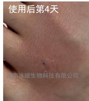 a76d6d76-267a-498d-8c2a-47604bf24f17.png