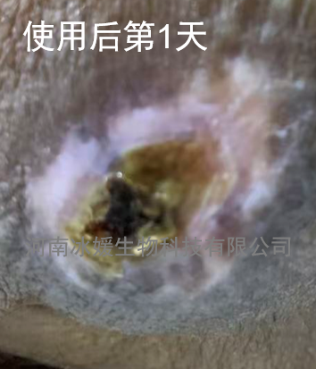 10e1e68c-c721-45d6-8e5e-74292d6ac324.png
