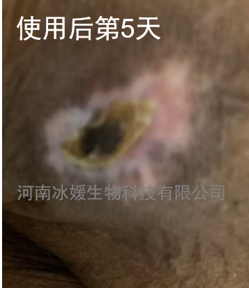 cd0b2e10-d98c-42f8-a821-828a027d6b33.png