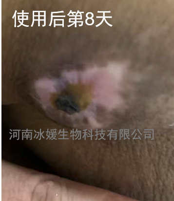 97f9482c-71a6-443a-8be5-b016f702e027.png