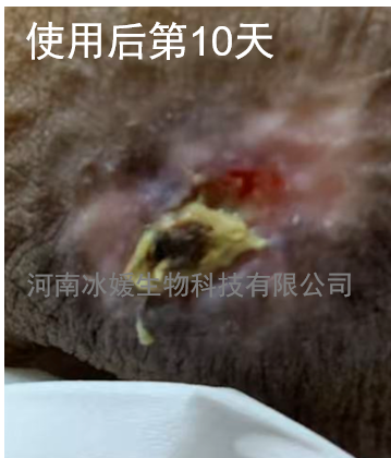0f826262-20ab-4039-a48d-7d05cb1b4dd5.png