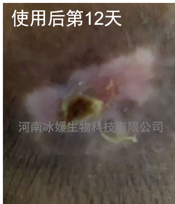 f33140d0-aac2-4f7e-9e49-7d11a2db8457.png
