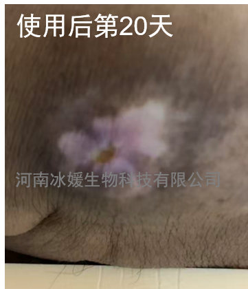 a78a5a51-dc83-4fc1-a601-c3acd2cfe210.png