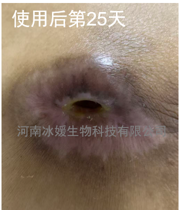 31ed5a1b-e03b-44e6-8e91-acefea0a9119.png