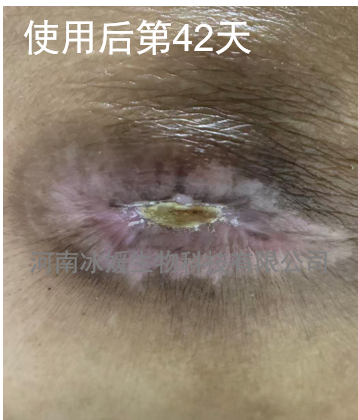 6ce6e801-1947-45a3-9a7e-3f6bb70ec9cc.png