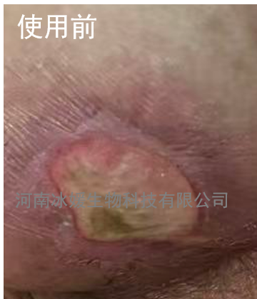 bac73eae-25ad-4cc3-9966-a51dc19b6499.png
