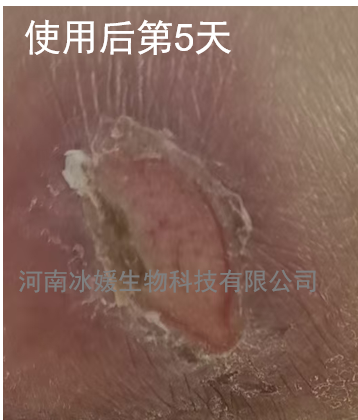 6b57ad72-c418-4f9d-b246-44c9f1491927.png