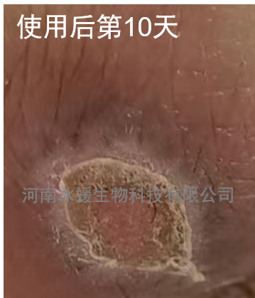 727c5ae4-ec19-4cb8-a44d-88c718629bc5.png