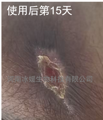 6e842613-72a4-4ea2-b3c6-b86467e23991.png