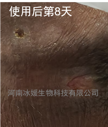 205eb7e0-4fc2-442e-ab1b-6007399acfbb.png