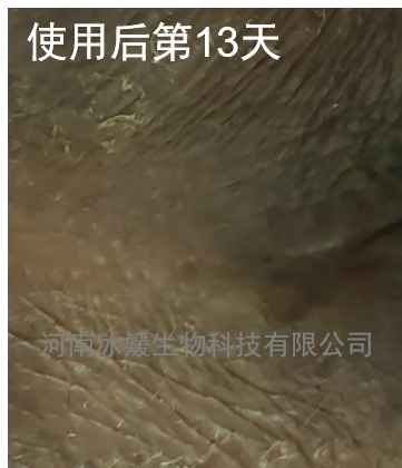 b9968cea-02dc-47e7-8593-b24ce1ad060d.png