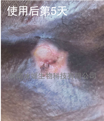f1d75ddb-c5d9-4c55-8172-ea7c1c28e5b8.png