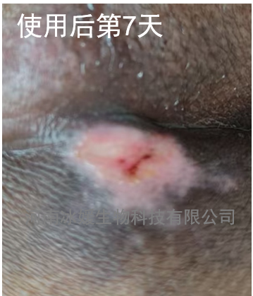 1215e034-333b-470a-a893-1caa15f7f059.png