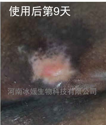ea384e90-ff90-4a46-bef8-42a08e10affe.png