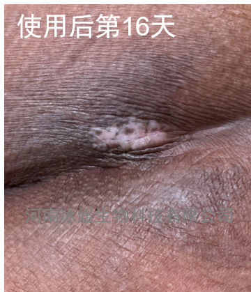 37d6afa8-4f83-4b70-b15f-dd875d6d1e8b.png