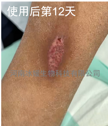 67ef86b1-887a-4233-90b6-657d56ce3c69.png