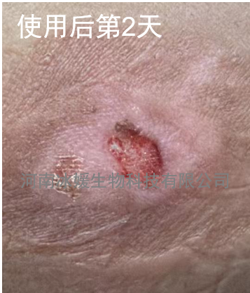 6d6e8567-d515-4ec0-b21b-6de738d2b70f.png