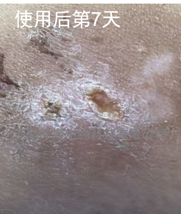 09ceddec-5661-4a0e-bf75-afa61a99ad71.png