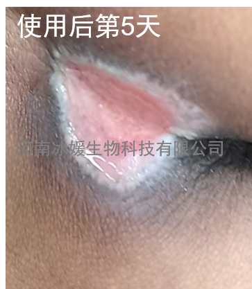 58de1288-f39e-48d7-8112-4ce3a2d5bc1c.png