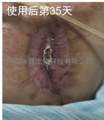 a56c7092-6612-409b-a349-48a5663fa954.png