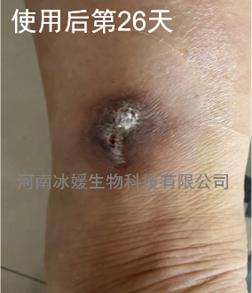 a643e2f1-8e48-43e8-808b-b6c8d99092a9.png