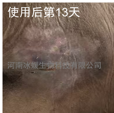 235abfea-0a03-44f7-9e55-ad78ebaa9dd4.png