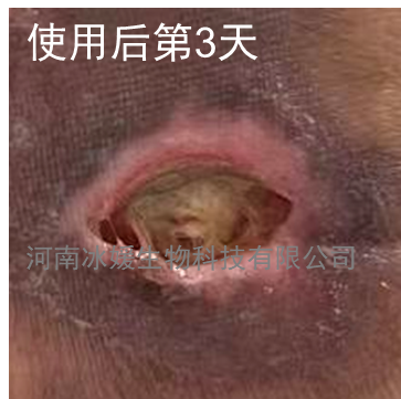 b29acb4a-813d-4b65-bc55-cb23348d2069.png