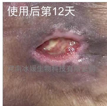 d17b608c-17a0-4f94-ab0d-b0bb3f73a556.png