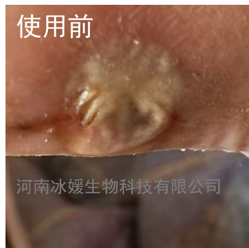 255b8df1-f86e-414e-846a-3bcd4f70e6ca.png