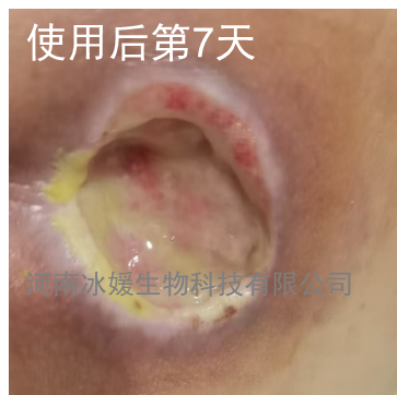 20af88ce-e45e-40d2-bc43-d8a847bcc035.png