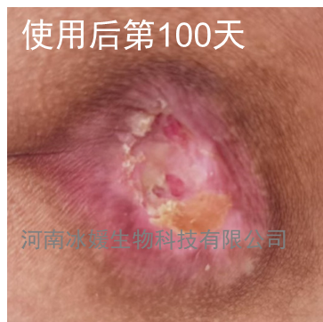 8650938d-0776-48a9-bb82-b565dff33253.png