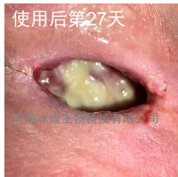 1c3a7d0d-640b-403e-8694-8419107eaad3.png