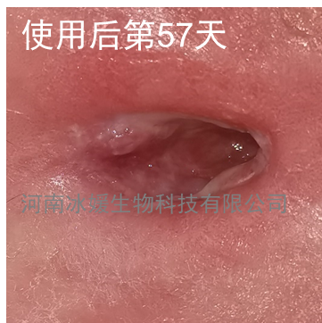 f9c32c3a-3bb6-4d0f-9b6a-eed906c4c2ee.png
