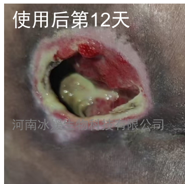 5fb32386-2498-46f5-8c61-8fc19ce55589.png