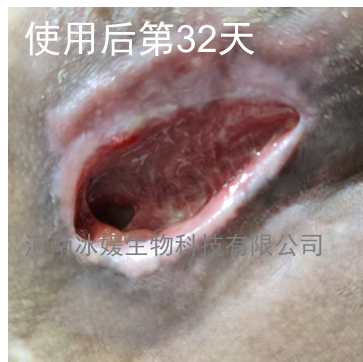 3bf12554-cd95-4152-90ea-f25d1913280a.png
