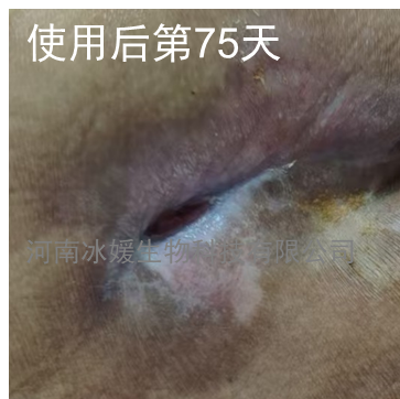 7265fec8-8c52-47d3-b356-a948dff855d2.png