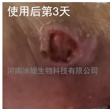 b08b4e45-36b9-4616-b4ed-19c452cb0354.png