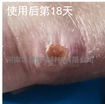 3e50950f-0ae5-4556-b744-34b85e6d43fd.png