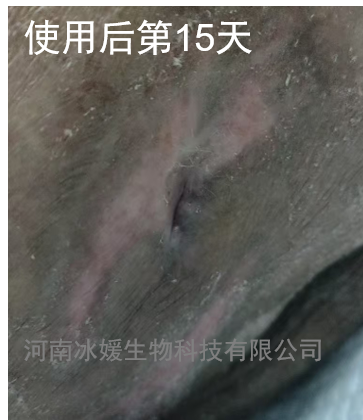 ff1a89de-54e5-47f5-bb52-42e6313984fa.png