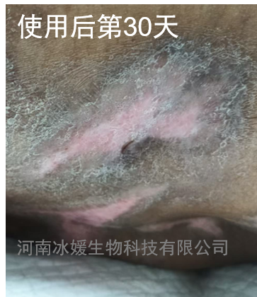 cebfe48b-7007-4eb5-a365-adb661d2889a.png